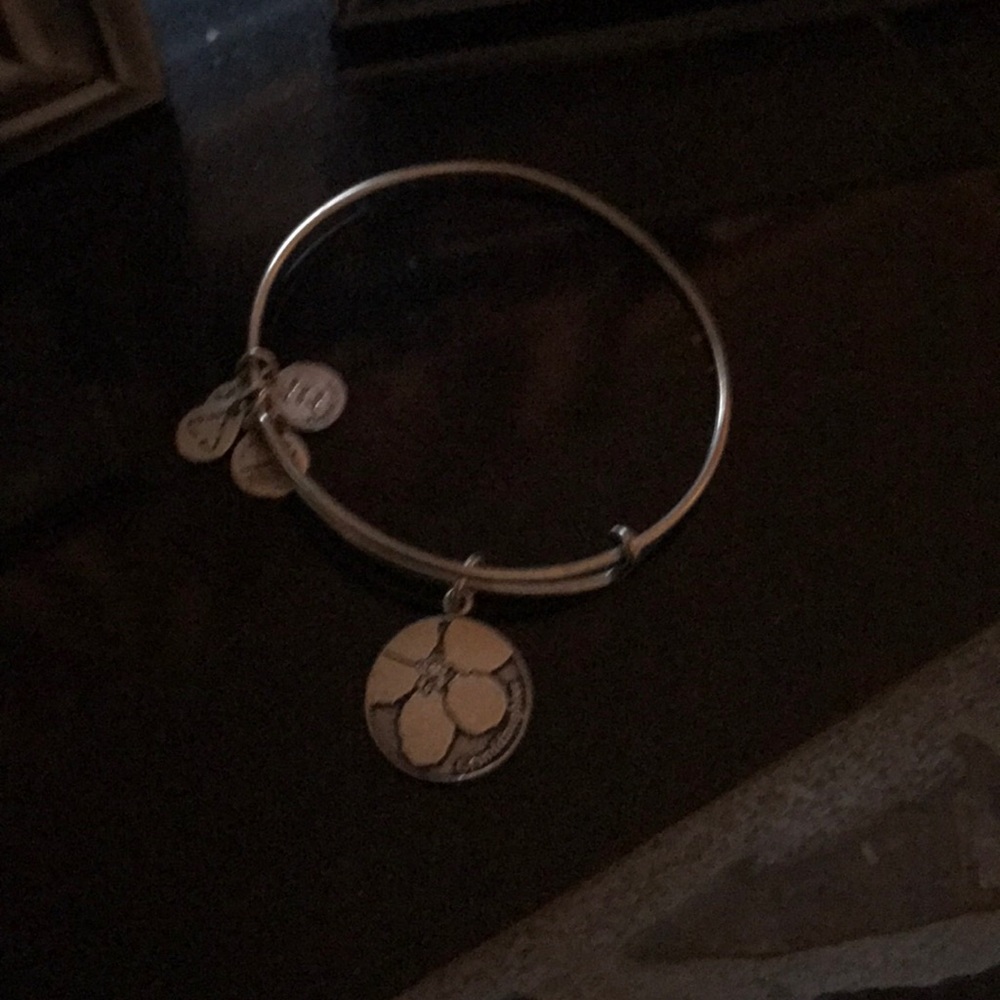 Alex and ani granddaughter bracelet